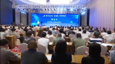 第六届全国铅蓄电池新技术研讨会在襄举行