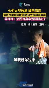 七旬大爷放羊 被困孤岛，消防员架起绳桥 成功将大爷和羊救出