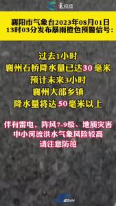 降水量已达30毫米！请襄阳市民注意防范！