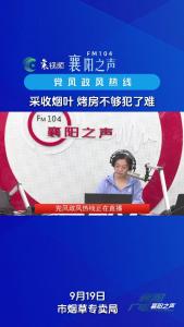 党风政风热线｜采收烟叶烤房