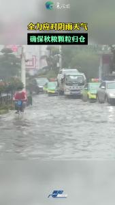 全力应对阴雨天气，确保秋粮颗粒归仓。@农业人 这份农事建议请查收！