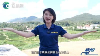 “和美乡村 共同缔造”2023中国农民丰收节宜城流水站，我们来了！