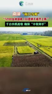 “雨口夺粮”#南漳 1200台收割机，130套烘干机齐上阵。确保“丰收到手”