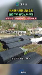 “从无到有”“从有到多”的香菇产业