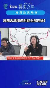 党风政风热线｜襄阳古城墙