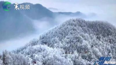 冬日限量款上线！襄阳市保康县六柱垭生态文化旅游区雾凇美景