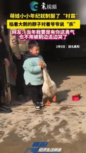 萌娃小小年纪就制服了“村霸” ，掐着大鹅的脖子对着爷爷说……