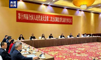 聚焦两会·开放团组丨湖北：新产业规模突出“长江大保护”成效明显