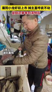 襄阳小龙虾初上市，摊主直呼卖不动？！尝鲜还需等到清明后……