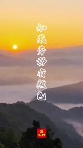 为美好而来 | 看！是劳动的颜色