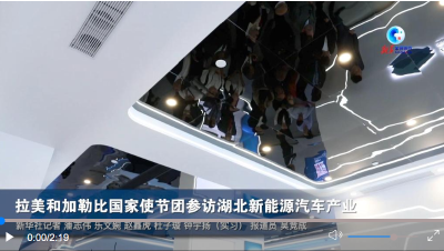 全球连线｜拉美和加勒比国家使节团参访湖北新能源汽车产业