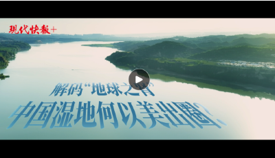 和谐共生｜解码“地球之肾”，中国湿地何以美出圈？
