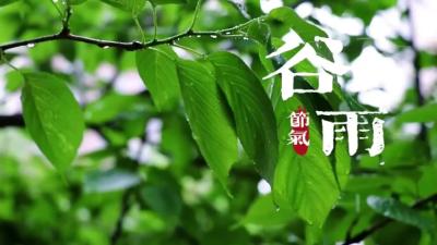 谷雨：又是一年别春时 莫负最后好春光   