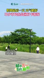 天气晴好，不少市民在公园打卡游玩