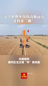 美丽襄景 | 襄州龙王镇一派“丰”景如画