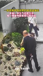 一名游客将饭店里的花连盆端走