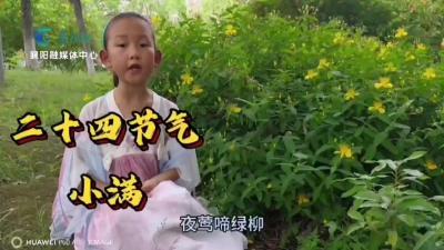 探秘小满节气 品味传统文化