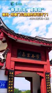 襄阳新增一网红打卡地