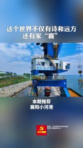 美丽襄景 | 汉江上规划建设的最大港口