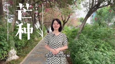 【芒种】愿所有考生“芒”碌三年，“种”下希望！