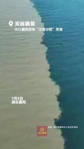 美丽襄景 | 汉江襄阳段出现奇特的“清浊分明”景观