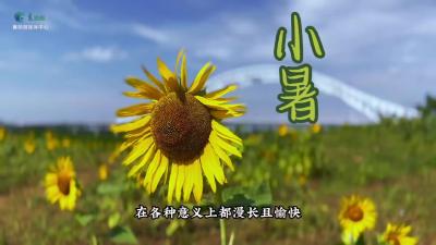 今日小暑！祝你乐享美好夏日！