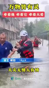 襄阳暴雨，志愿者温暖了一只猫