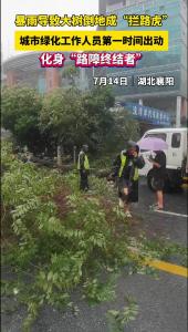 暴雨导致大树倒地成“拦路虎”城市绿化工作人员第一时间出动！化身“路障终结者”