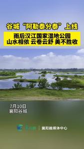 谷城“阿勒泰分泰”上线