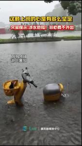 这颗上班的心是多么坚定！