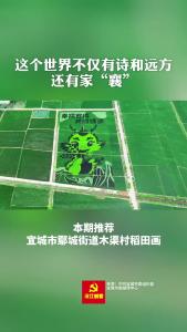 美丽襄景 | 宜城鄢城街道木渠村的稻田画迎来最佳观赏期