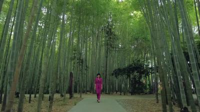 《向阳花儿开》栏目第二十二期20240705