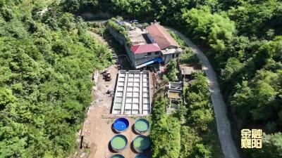 谷城农商银行：金融助力乡村产业发展再添“新利器”