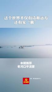 美丽襄景 | 老河口上空出现震撼平流雾景观