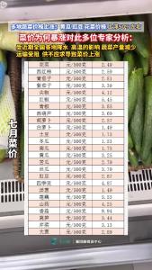 多地蔬菜价格上涨！专家分析!
