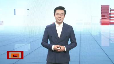 【加强防范 预防诈骗】 诈骗“父子兵”    双双落法网