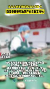 年销海外2300万美元，南漳香菇带动逾万户农民致富增收