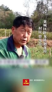 乡村振兴 | 小辣椒“映红”襄城增收路
