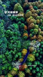 美丽襄景｜谷城薤山秋色斑斓