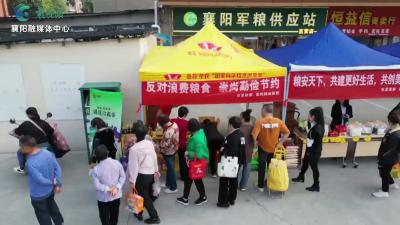 【世界粮食日】守护粮食安全  共创美好未来