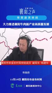 党风政风热线｜大力推进襄阳牛肉面产业高质量发展