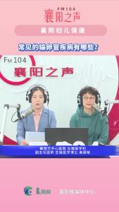 襄阳妇儿健康｜常见的输卵管疾病