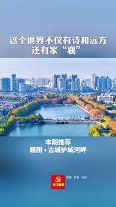 美丽襄景｜初冬的护城河畔层林尽染 色彩斑斓
