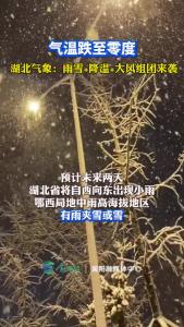 气温跌至零度！湖北气象：雨雪+降温+大风组团来袭