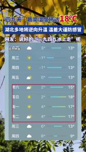 “四九天”最高温度将达18℃！