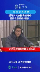 党风政风热线｜暖冬天气农作物管理中需要注意的问题