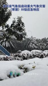 重大气象灾害（寒潮）IV级应急响应