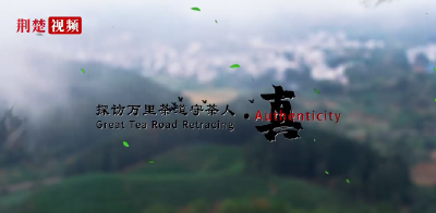 重磅！系列纪录片《探访万里茶道守茶人》上线