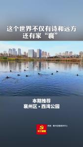 美丽襄景｜襄州西湾公园：水鸟栖息地