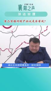 讲法说理｜自己写婚内财产协议是否有效？